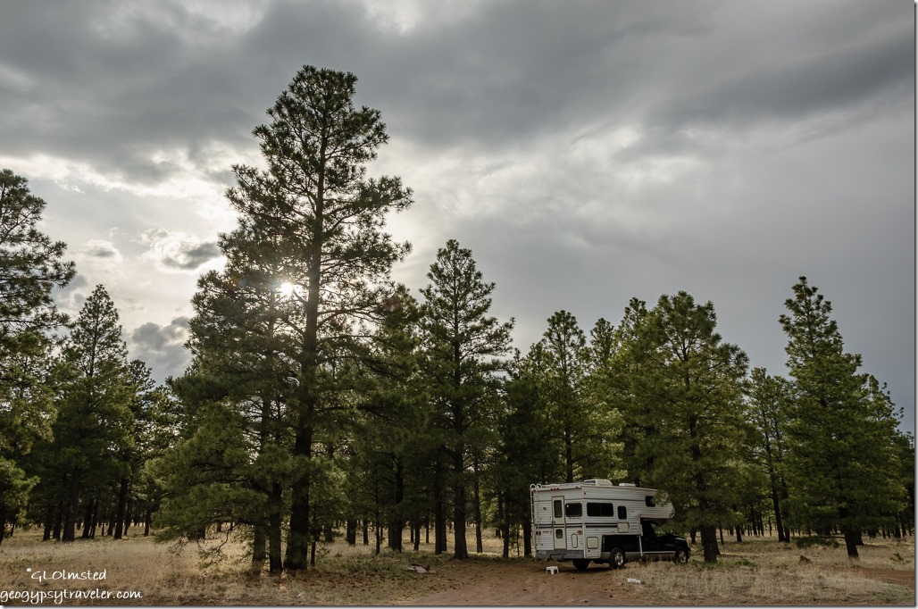 truckcamper treees clouds Coconino National Forest Arizona