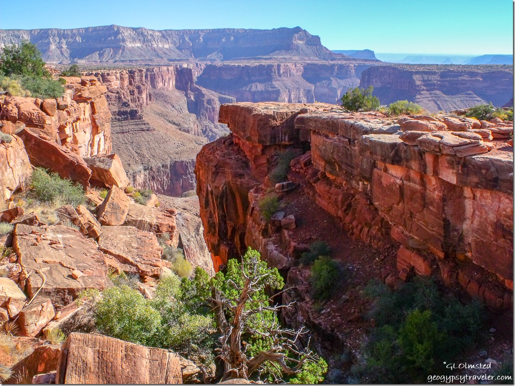Side canyon at Tuweep overlook Grand Canyon National Park Arizona