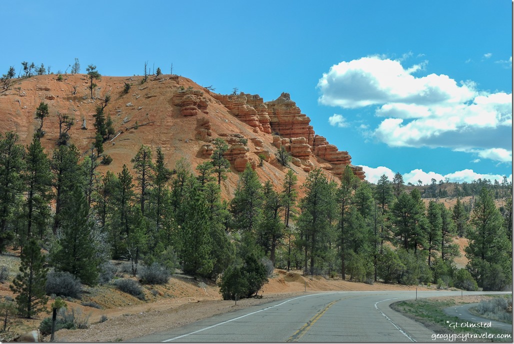 trees red cliffs SR12 East Red Canyon Dixie National Forest Utah