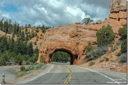 trees red rock tunnel clouds SR12 West Red Canyon Dixie National Forest Utah