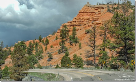 trees red rock clouds SR12 West Red Canyon Dixie National Forest Utah
