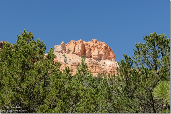 trees cliff Tropic Trail Bryce Canyon National Park Wilderness Utah
