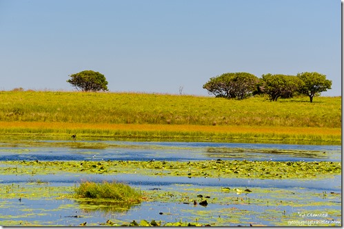 View from Mfazana bird hide Cape Vidal iSimangaliso Wetland Park South Africa