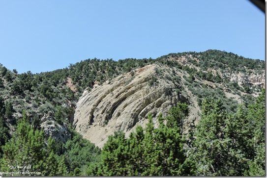 cliffs trees SR14 Dixie National Forest Utah