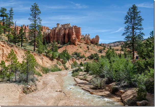 downstream Tropic Ditch Bryce Canyon National Park Utah