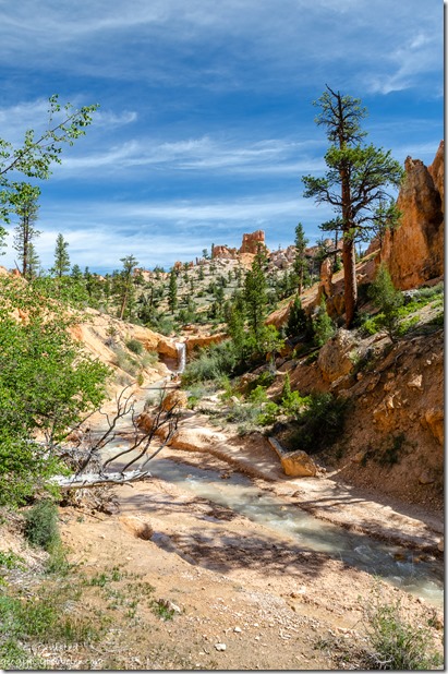 upstream Tropic Ditch waterfall trees hoodoos Bryce Canyon National Park Utah