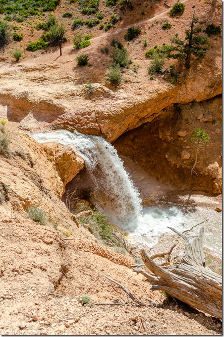 waterfall Tropic Ditch Bryce Canyon National Park Utah