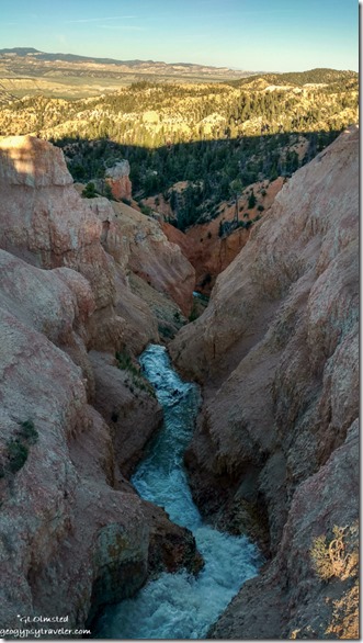 downstream Tropic Ditch Bryce Canyon City Utah
