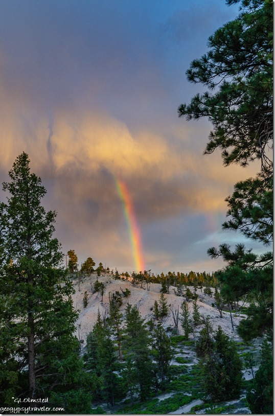 trees rainbow sunset clouds Bryce Point Bryce Point Bryce Canyon National Park Utah