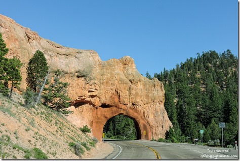 arch red rock trees SR12 East Red Canyon Dixie National Forest Utah