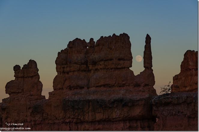 Hoodoos full moon rise last light Navajo Loop Trail Bryce Canyon National Park Utah