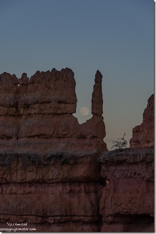 Hoodoos full moon rise last light Navajo Loop Trail Bryce Canyon National Park Utah
