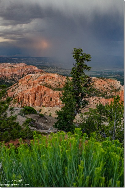 trees hoodoos valley Aquarius Plateau sunset storm clouds from Bryce Point Bryce Canyon National Park Utah