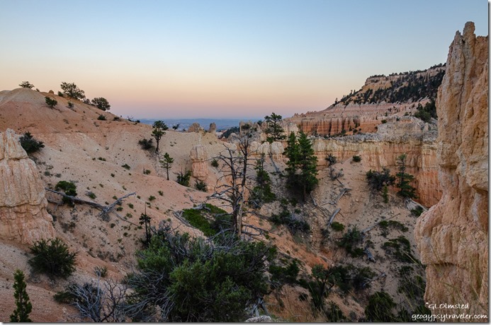 trees hoodoos Earth Shadow from Fairyland Loop Trail Bryce Canyon National Park Utah