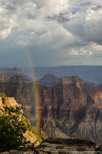rainbow canyon from Lodge NR GRCA NP AZ