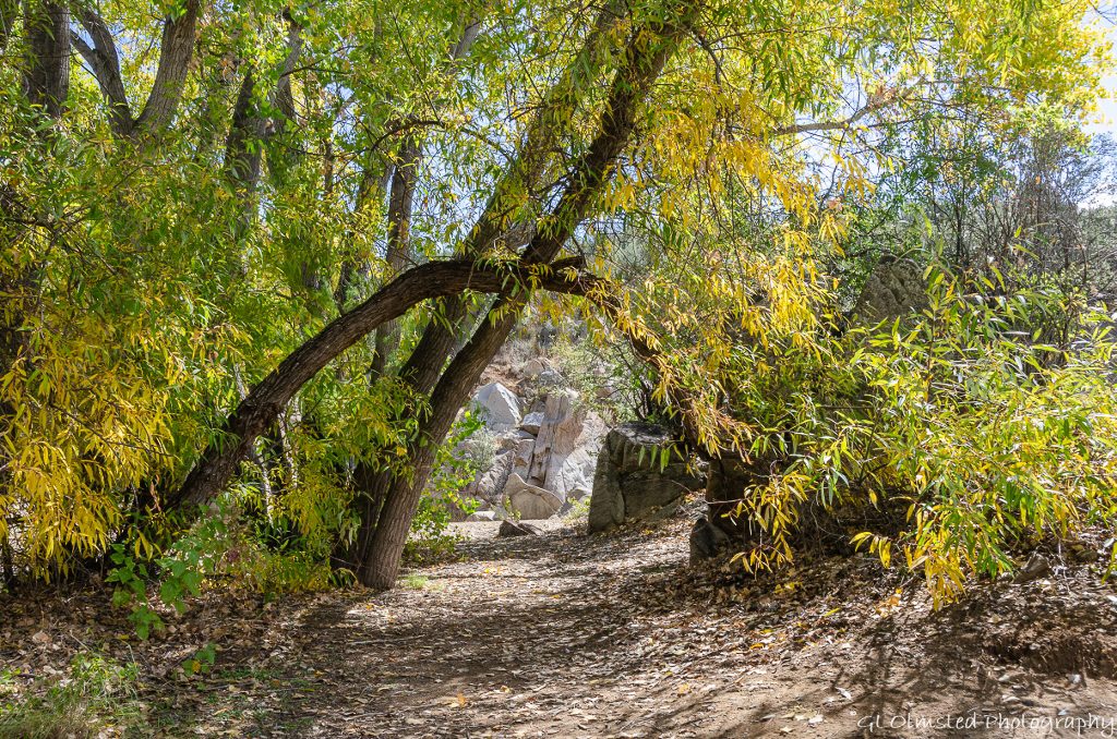 fall trees boulders Fain Lake Park Prescott Valley AZ