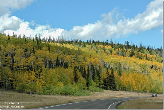Fall color SR14 East Dixie National Forest Utah