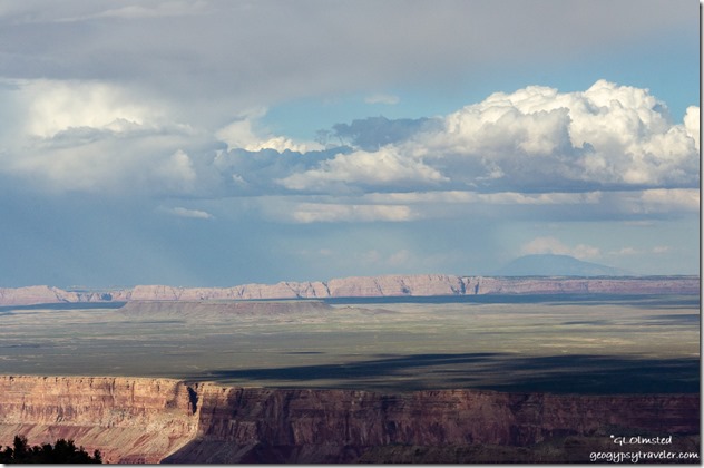 Marble Plateau, Echo Cliffs & Navajo Mountain from Walhalla Plateau North Rim Grand Canyon National Park Arizona