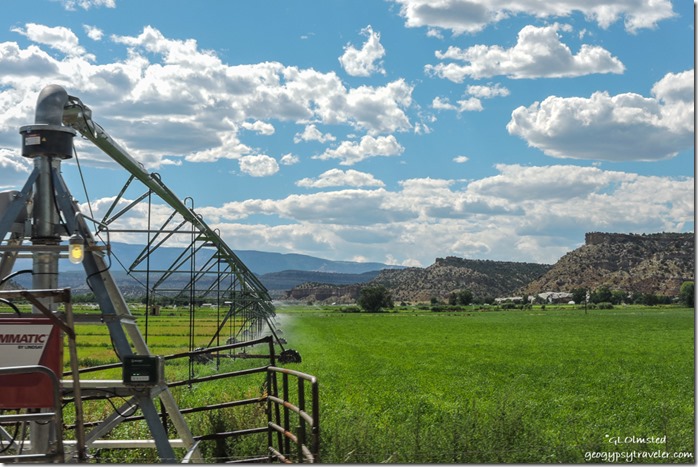 irrigating alfalfa Escante Utah