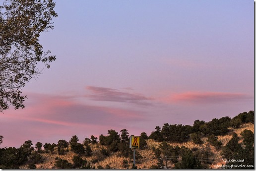 trees sunset clouds KOA Cedar City Utah