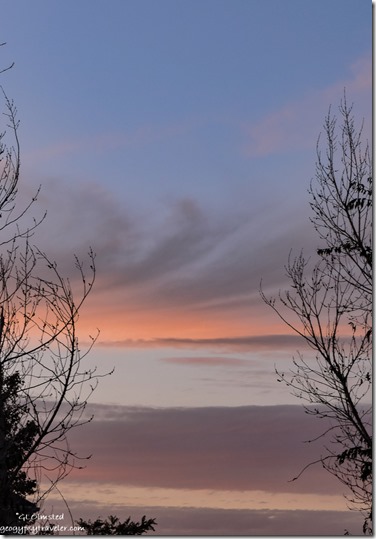 trees sunset clouds KOA Cedar City Utah