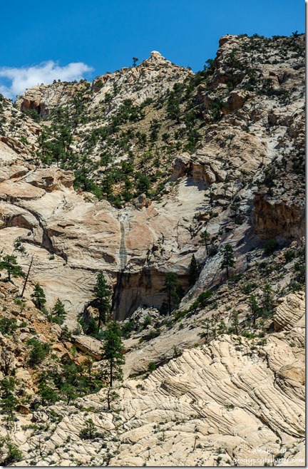 sandstone trees spillway cliffs Posey Lake Road Utah