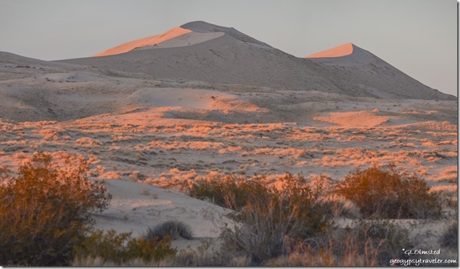 Late light Kelso Dunes Mojave National Preserve California