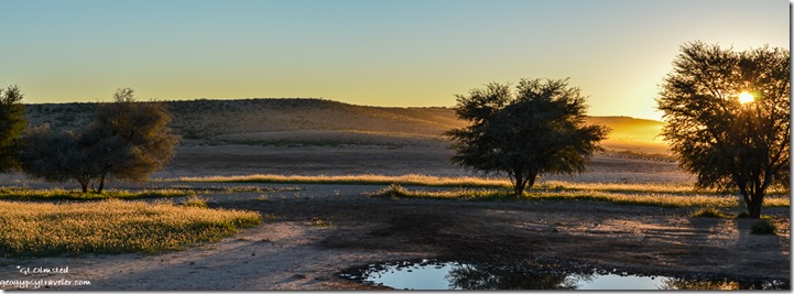Sunrise Kgalagadi Transfrontier Park South Africa