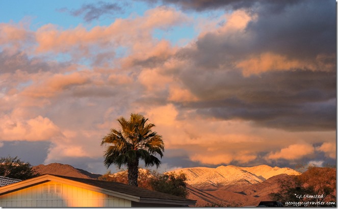 roofs Palm tree snowy Weaver Mts reverse sunset clouds North Ranch Congress Arizona
