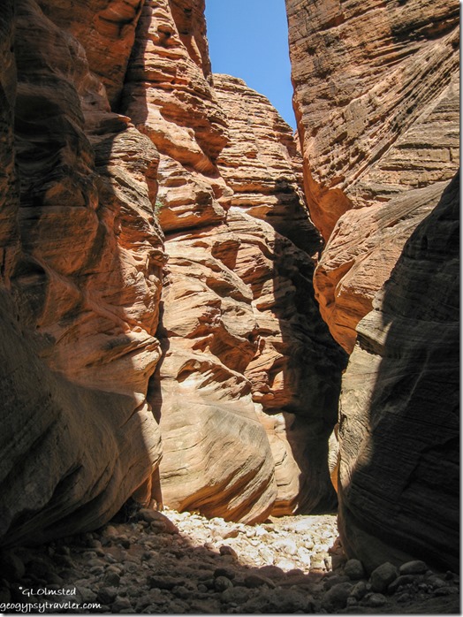 Buckskin Gulch slot canyon trail Utah