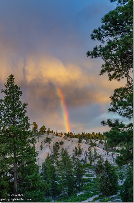 trees rainbow sunset clouds Bryce Point Bryce Canyon National Park Utah
