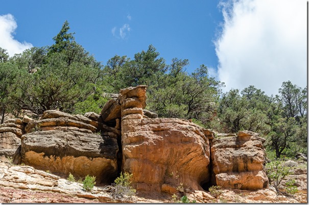 Rock outcrop along FR246 Kaibab National Forest Arizona