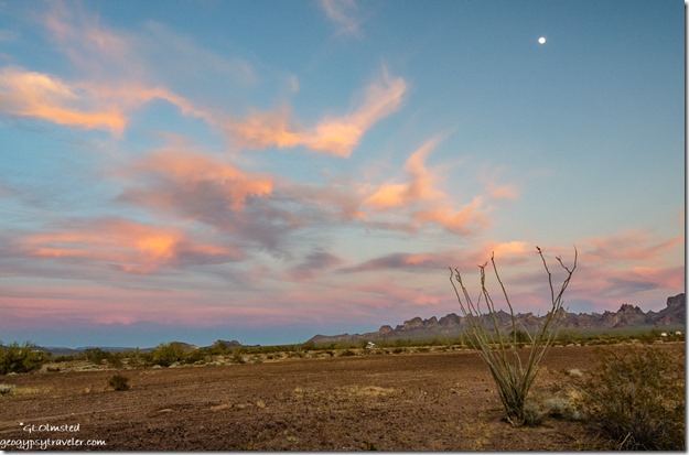 Ocotillo desert Kofa Mountains sunset clouds moon Palm Canyon Road BLM Kofa National Wildlife Refuge Arizona