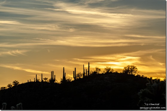 Saguaro cactus sunset clouds Vulture Mine Road BLM Arizona