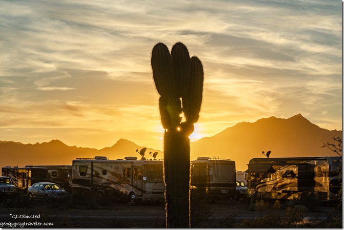 Saguaro cactus RVs mountains sunset clouds La Paz BLM Quartzsite Arizona