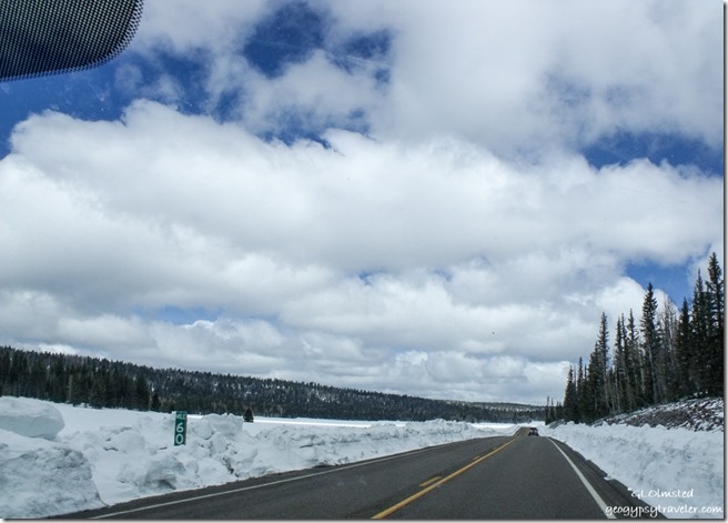 Snow along Hwy 67 North Kaibab National Forest Arizona