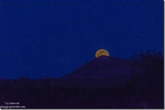 full wolf moon rising Kofa Mountains Palm Canyon Road BLM Kofa National Wildlife Refuge Arizona