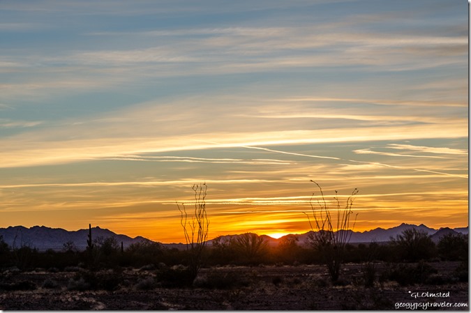 Ocotillo trees desert sunset clouds Palm Canyon Road BLM Kofa National Wildlife Refuge Arizona
