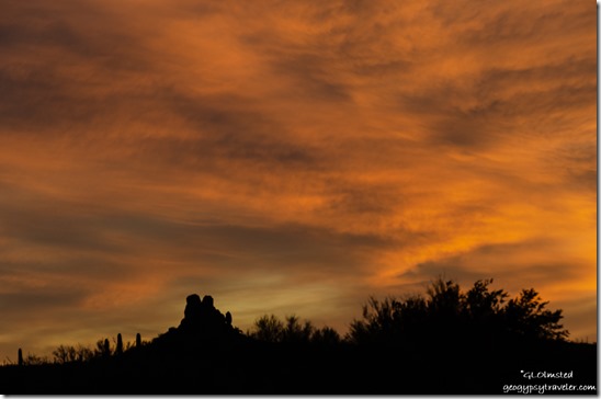 cactus rock outcrop sunset clouds Darby Well Road BLM Ajo Arizona