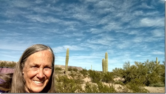 Gaelyn cactus desert clouds Darby Well Road BLM Ajo Arizona