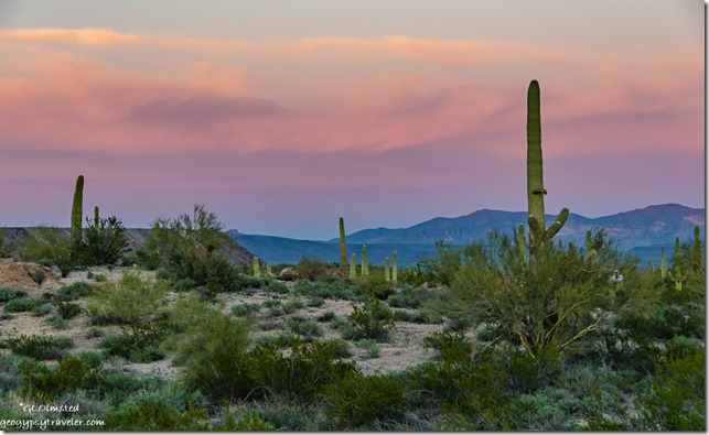 desert Saguaro cactus mountains sunset clouds Darby Well Road BLM Ajo Arizona
