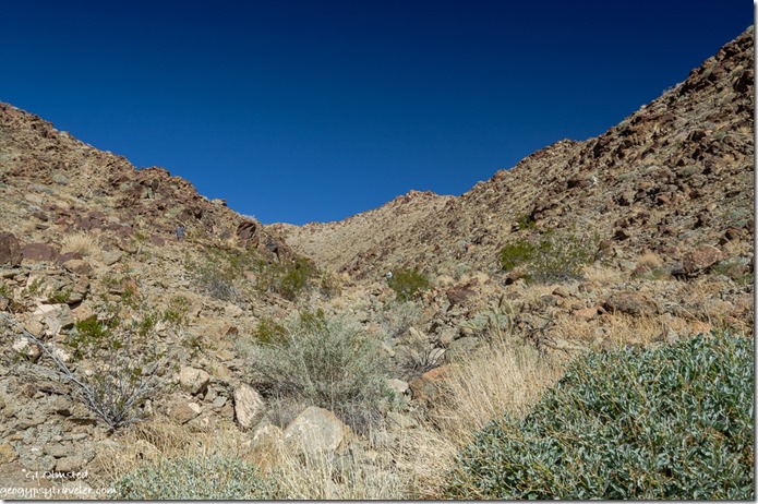 people hillside Finius' mine claim Quartzsite Arizona