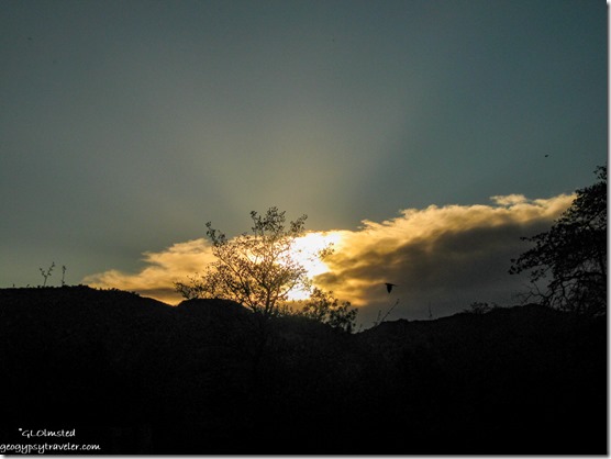 tree Weaver Mountains sunset clouds crepuscular rays Yarnell Arizona
