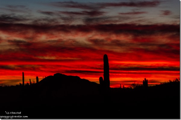 Saguaro cactus mountain sunset clouds Darby Well Road BLM camp Ajo Arizona
