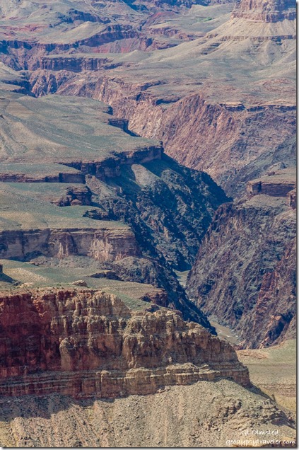 Colorado River from Moran Point South Rim Grand Canyon National Park Arizona