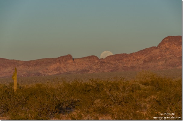 desert Kofa Mountains full moon rise Palm Canyon Road Kofa National Wildlife Refuge Arizona