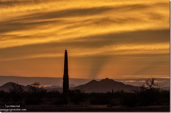 Saguaro desert mountains sunset clouds crepuscular rays Palm Canyon Road Kofa National Wildlife Refuge Arizona