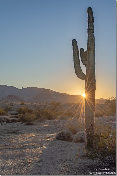 Saguaro cactus desert sunset sunburst Dome Rock BLM Quartzsite Arizona