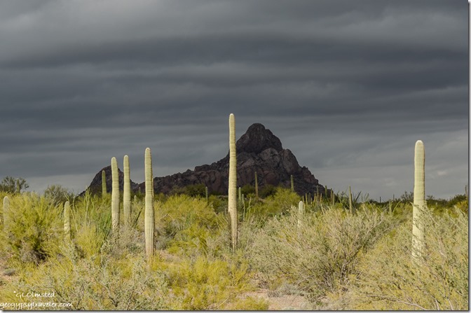 Saguaro cactus mountain dark clouds Darby Well Road BLM camp Ajo Arizona