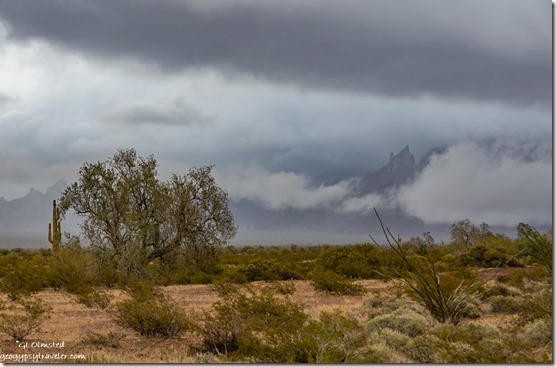 desert Kofa Mts low clouds Palm Canyon Rd Kofa National Wildlife Refuge Arizona